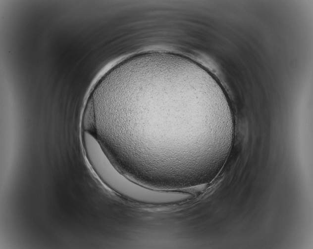 X0000086091199200704132118