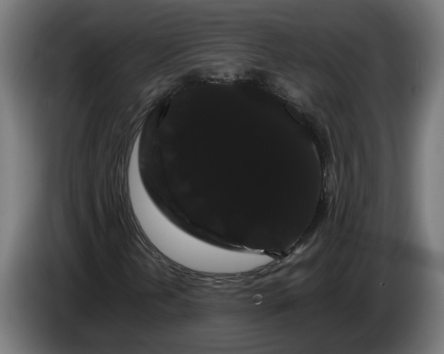 X0000086091202200704132118