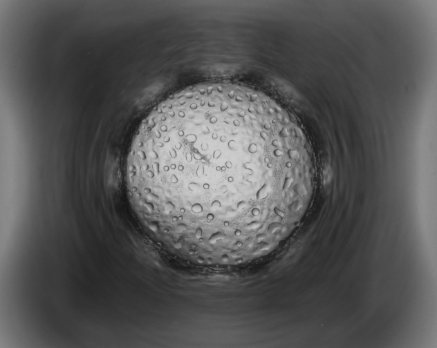 X0000086091204200704132118