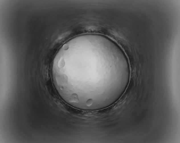 X0000086091205200704132118