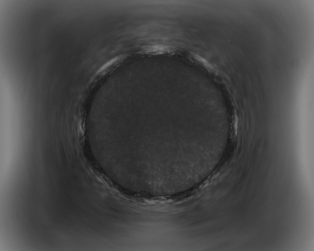 X0000086091206200704132118