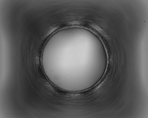 X0000086091209200704132118