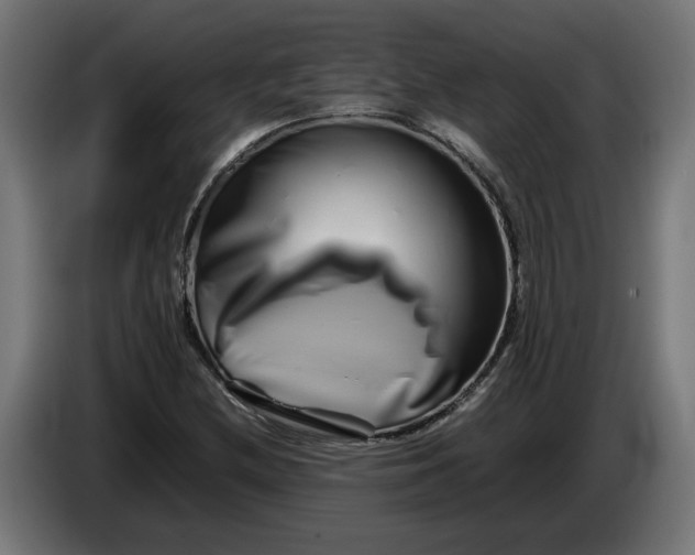 X0000086091212200704132118