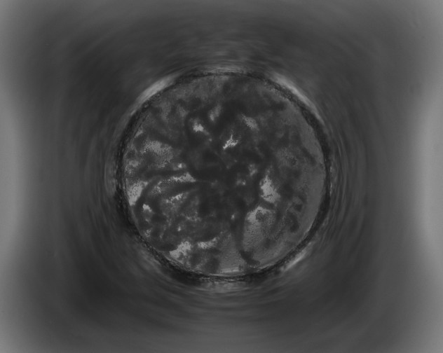 X0000086091213200704132118