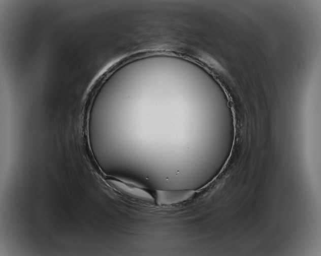 X0000086091216200704132118