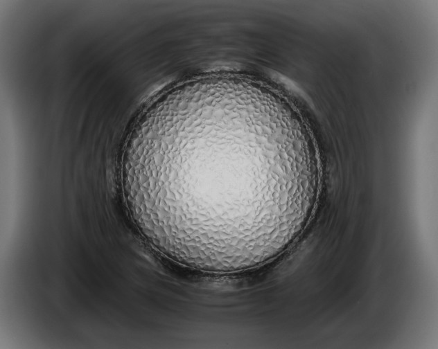 X0000086091217200704132118