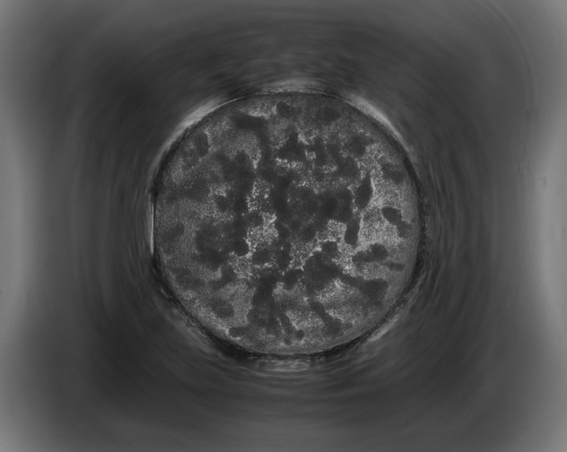 X0000086091219200704132118