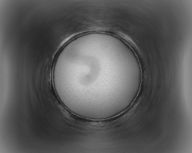 X0000086091220200704132118