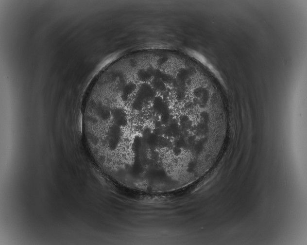 X0000086091221200704132118