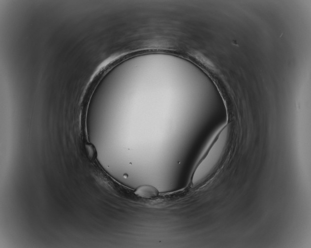 X0000086091222200704132118