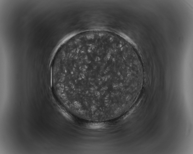 X0000086091223200704132118