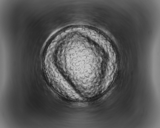 X0000086091224200704132118