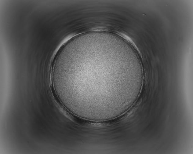 X0000086091227200704132118