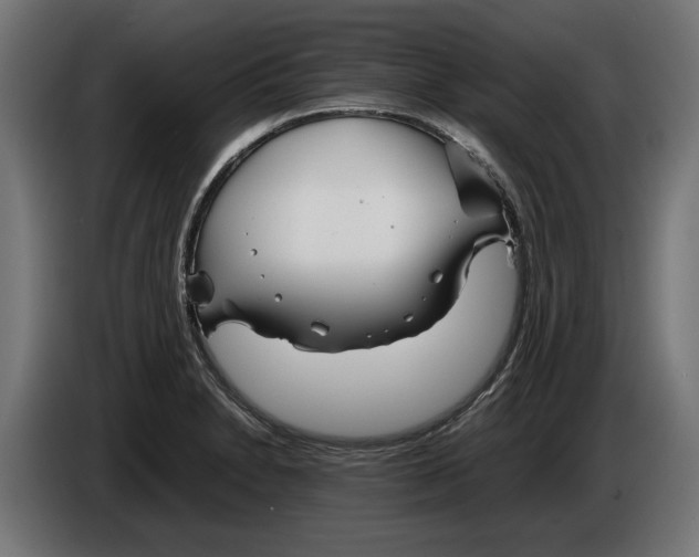 X0000086091230200704132118