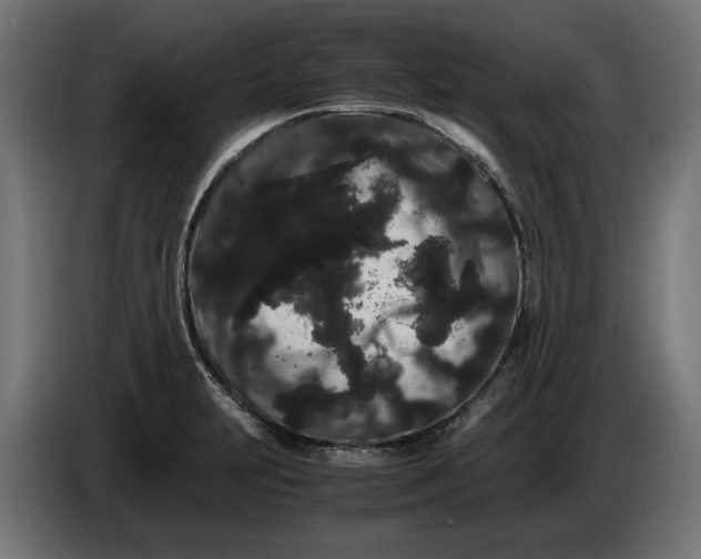 X0000086091231200704132118