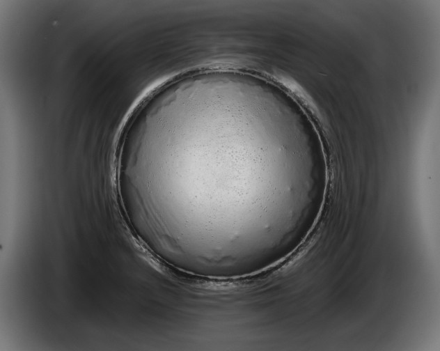 X0000086091232200704132118