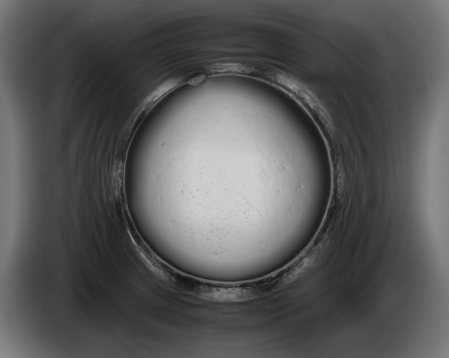 X0000086091233200704132118