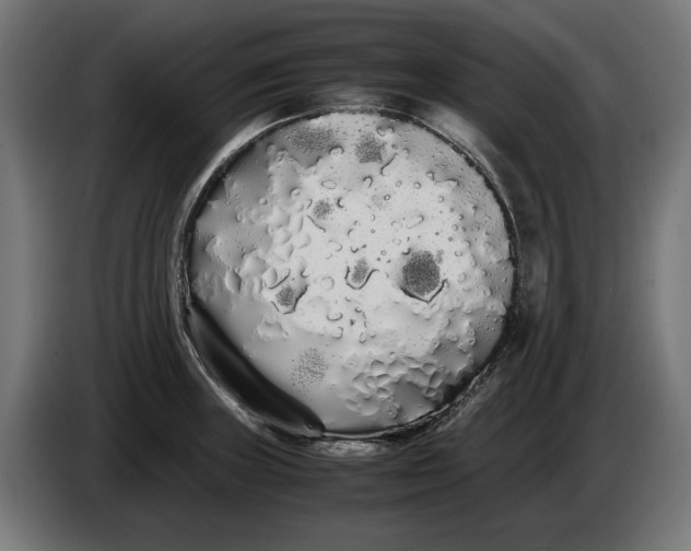 X0000086091235200704132118