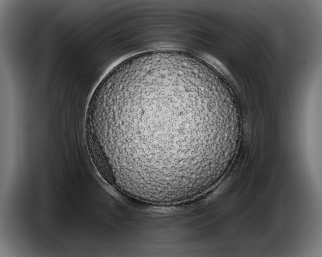 X0000086091236200704132118