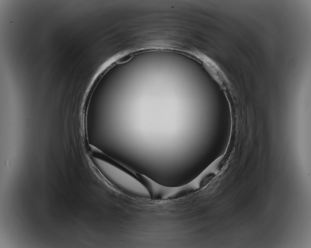 X0000086091238200704132118