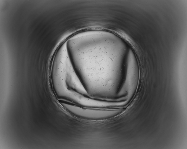 X0000086091240200704132118