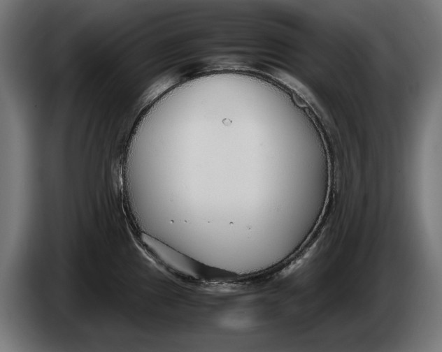 X0000086091241200704132118