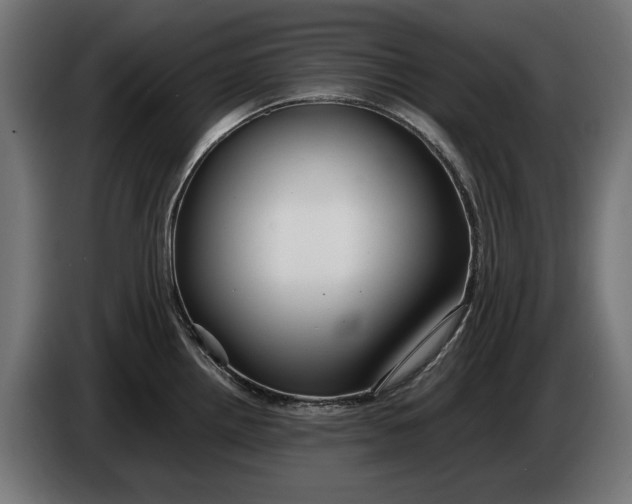 X0000086091242200704132118