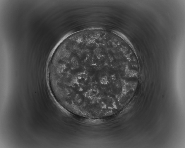 X0000086091243200704132118