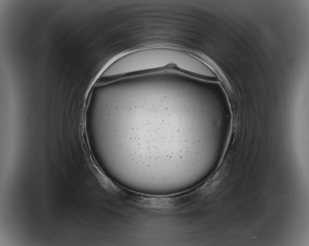 X0000086091244200704132118