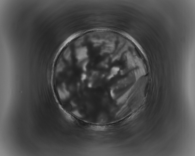 X0000086091245200704132118