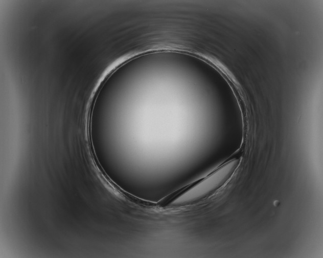 X0000086091246200704132118