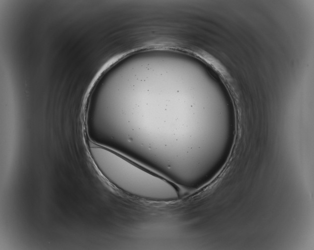 X0000086091248200704132118