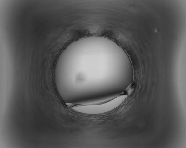 X0000086091249200704132118