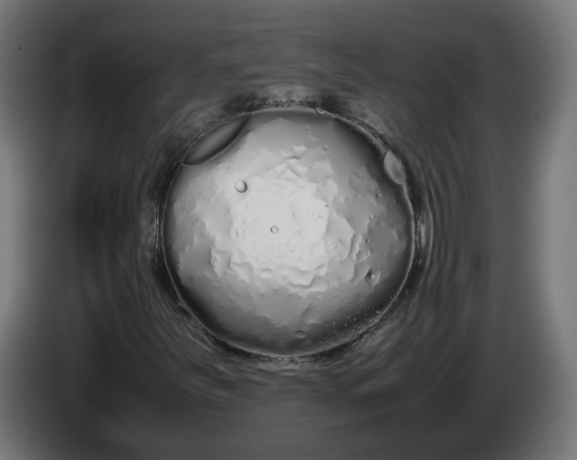 X0000086091251200704132118