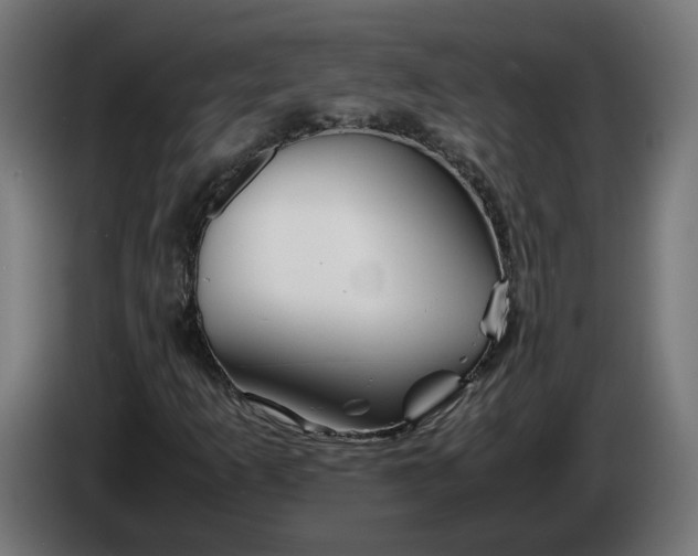 X0000086091253200704132117