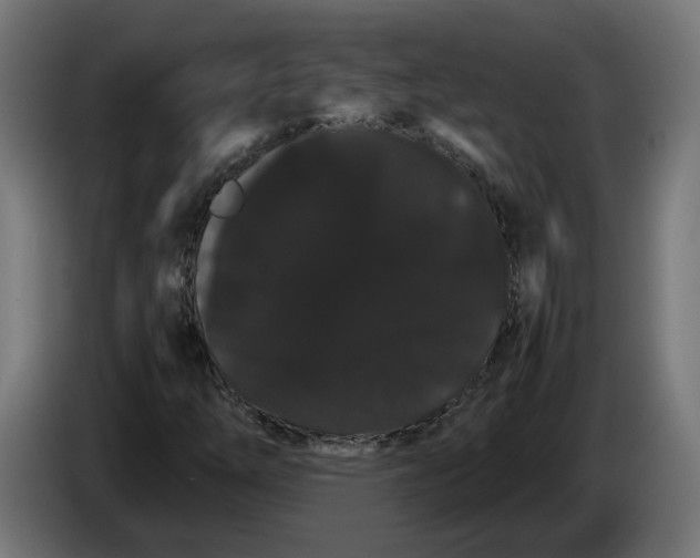 X0000086091254200704132117