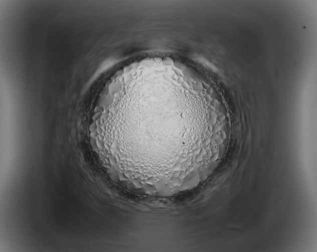 X0000086091255200704132117