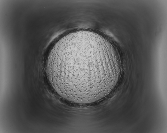 X0000086091256200704132117