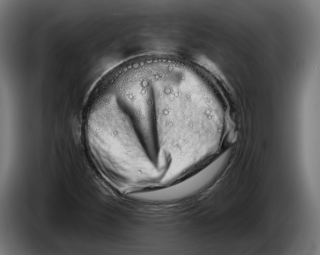 X0000086091260200704132117