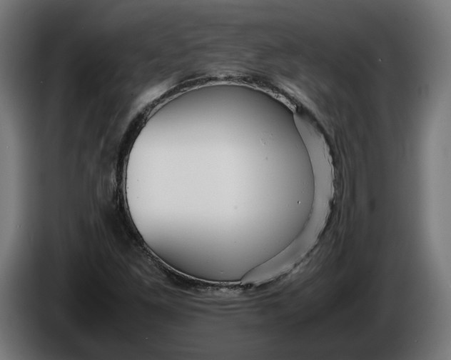 X0000086091261200704132117