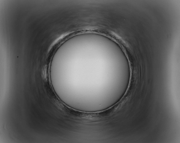 X0000086091262200704132117