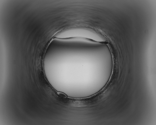 X0000086091265200704132117