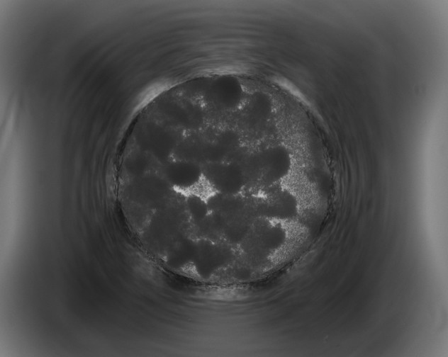 X0000086091266200704132117