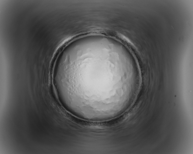 X0000086091267200704132117