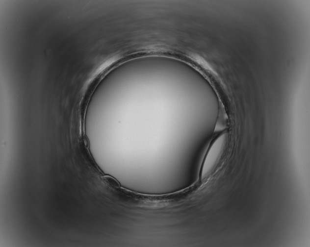 X0000086091269200704132117