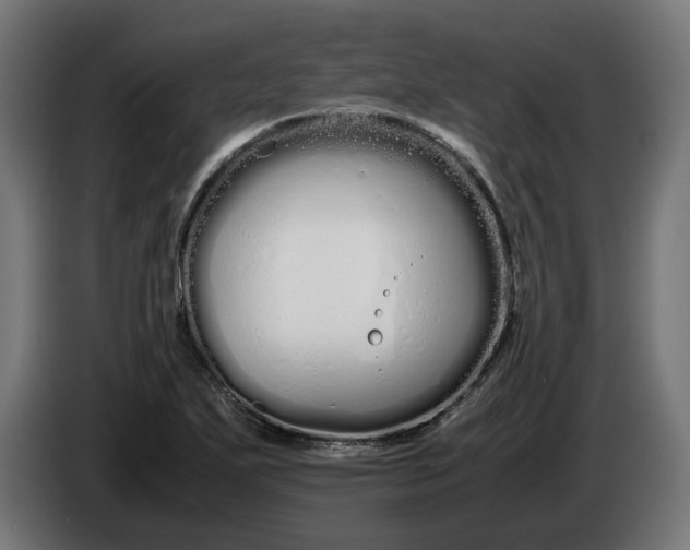 X0000086091271200704132117