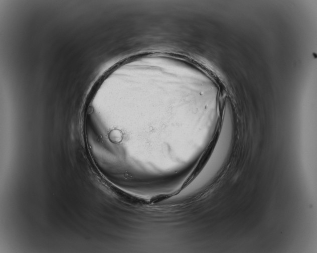 X0000086091272200704132117