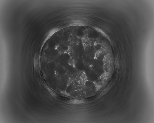 X0000086091274200704132117