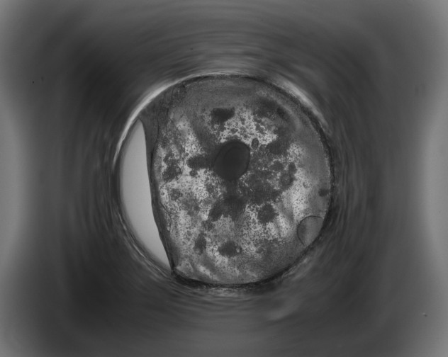 X0000086091275200704132117