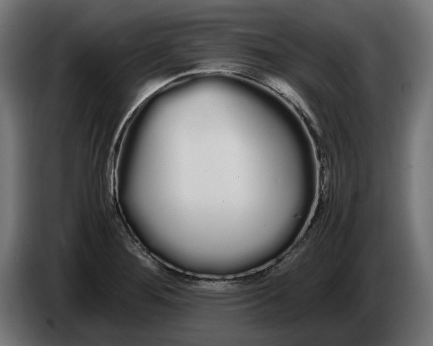 X0000086091276200704132117